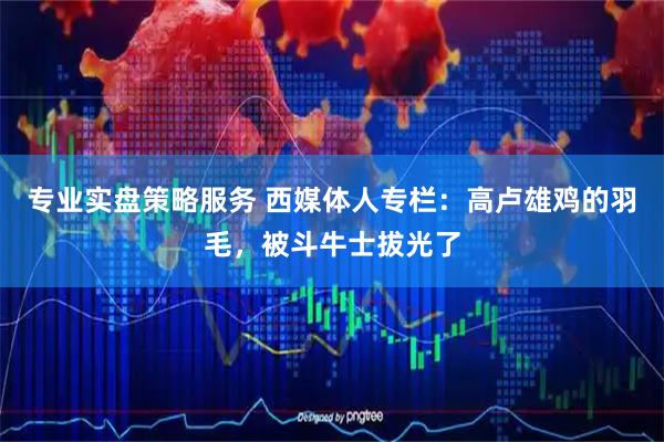 专业实盘策略服务 西媒体人专栏:高卢雄鸡的羽毛,被斗牛士拔光了